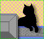 Me making this website